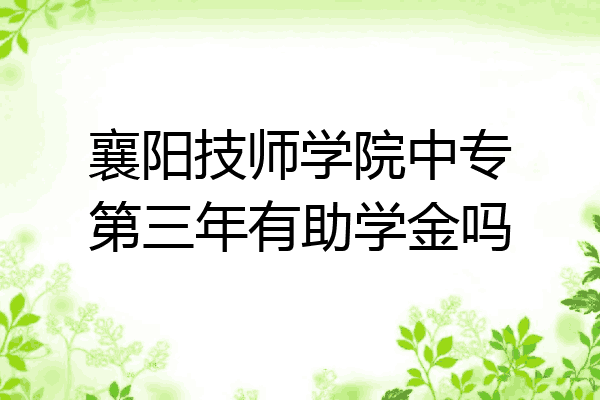 襄阳技师学院中专第三年有助学金吗