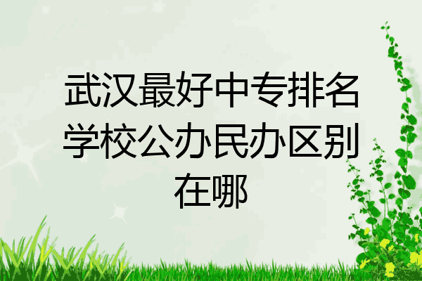 武汉最好中专排名学校公办民办区别在哪