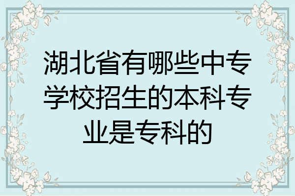 湖北省有哪些中专学校招生的本科专业是专科的