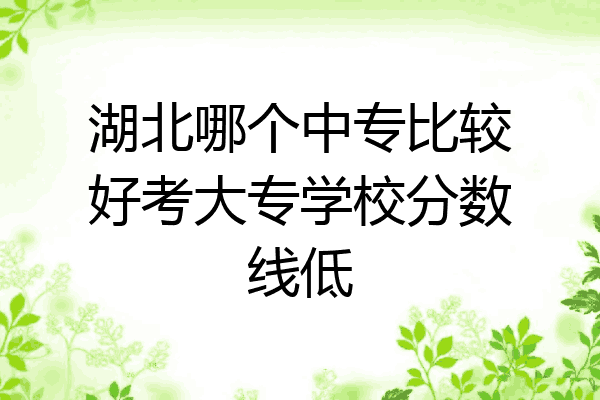 湖北哪个中专比较好考大专学校分数线低
