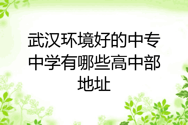 武汉环境好的中专中学有哪些高中部地址