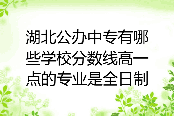 湖北公办中专有哪些学校分数线高一点的专业是全日制