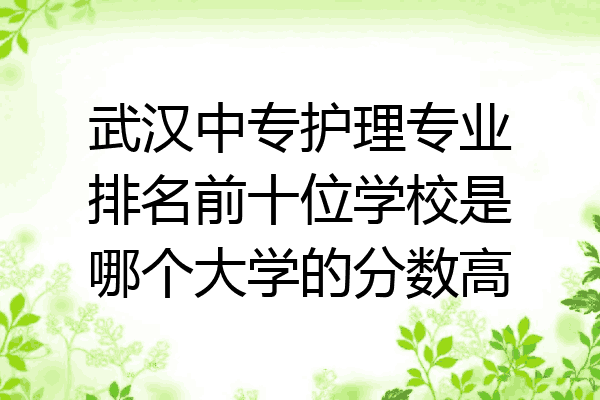 武汉中专护理专业排名前十位学校是哪个大学的分数高