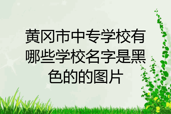 黄冈市中专学校有哪些学校名字是黑色的的图片