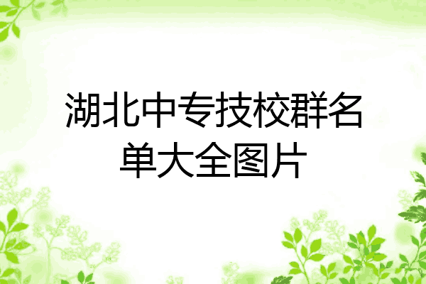 湖北中专技校群名单大全图片