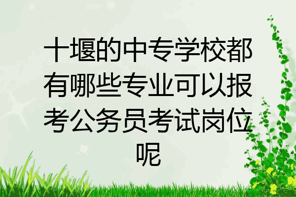 十堰的中专学校都有哪些专业可以报考公务员考试岗位呢