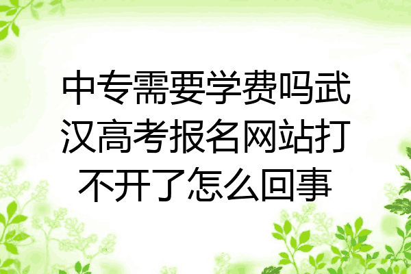 中专需要学费吗武汉高考报名网站打不开了怎么回事