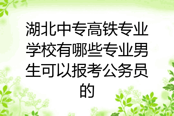 湖北中专高铁专业学校有哪些专业男生可以报考公务员的