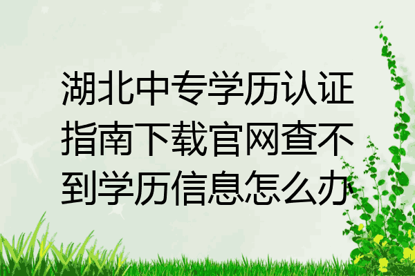 湖北中专学历认证指南下载官网查不到学历信息怎么办