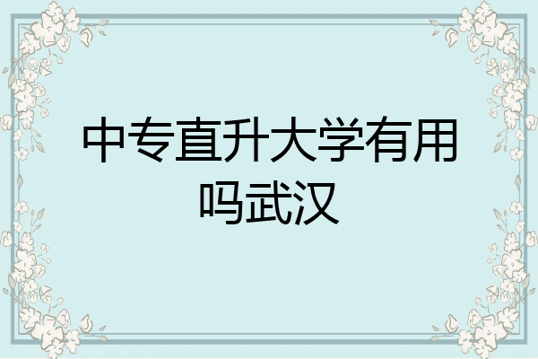 中专直升大学有用吗武汉