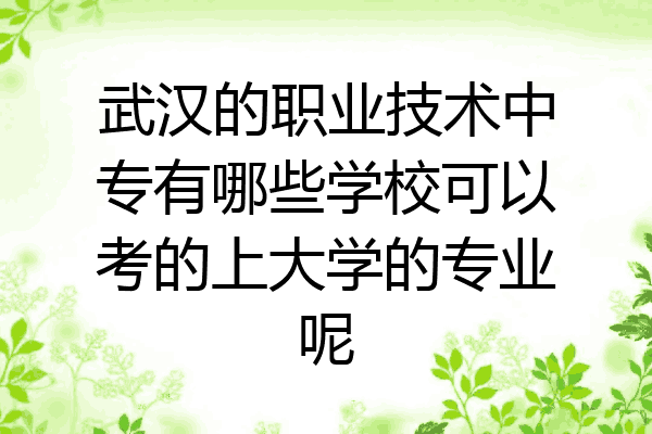 武汉的职业技术中专有哪些学校可以考的上大学的专业呢