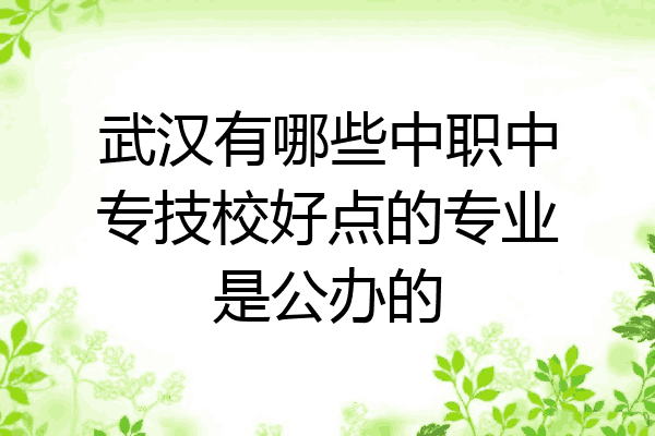 武汉有哪些中职中专技校好点的专业是公办的