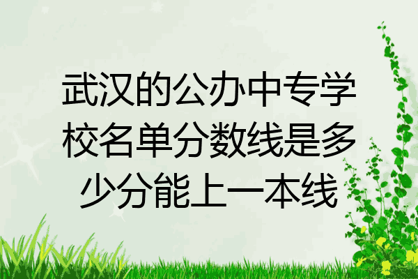 武汉的公办中专学校名单分数线是多少分能上一本线