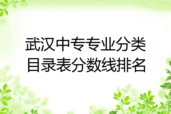 武汉中专专业分类目录表分数线排名