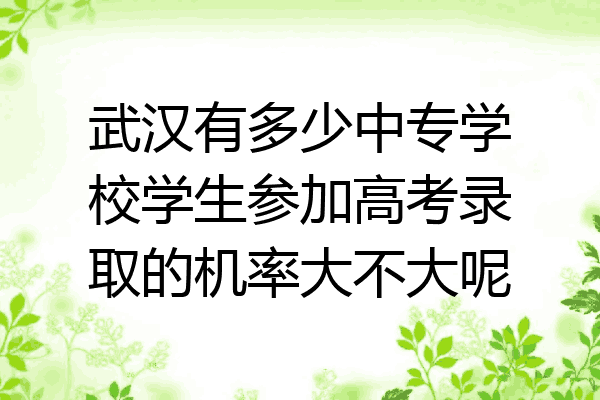 武汉有多少中专学校学生参加高考录取的机率大不大呢