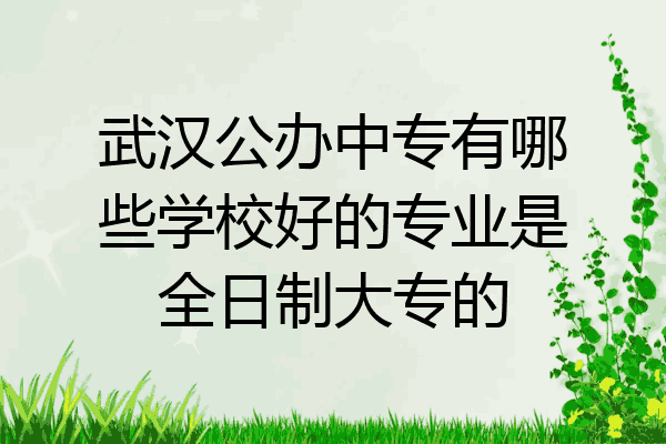 武汉公办中专有哪些学校好的专业是全日制大专的