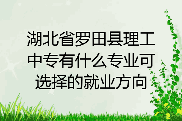 湖北省罗田县理工中专有什么专业可选择的就业方向
