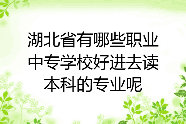 湖北省有哪些职业中专学校好进去读本科的专业呢