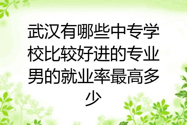 武汉有哪些中专学校比较好进的专业男的就业率最高多少