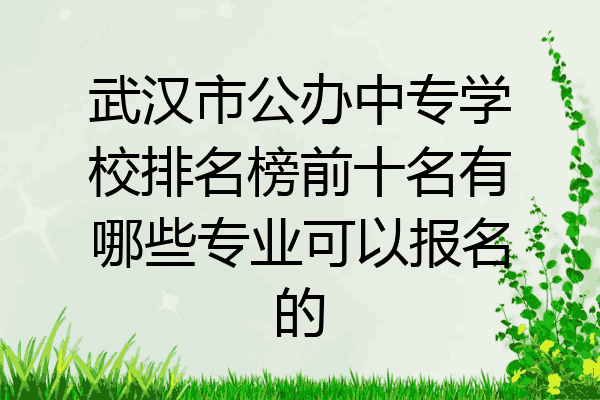 武汉市公办中专学校排名榜前十名有哪些专业可以报名的