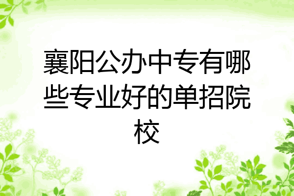 襄阳公办中专有哪些专业好的单招院校