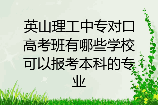 英山理工中专对口高考班有哪些学校可以报考本科的专业
