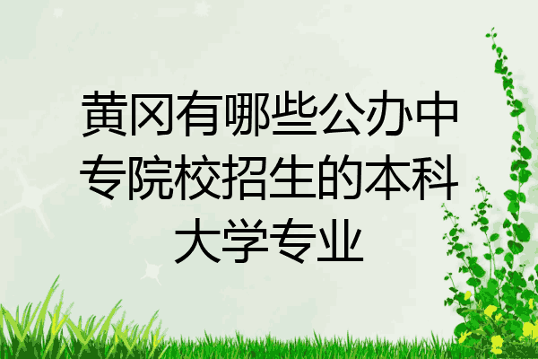 黄冈有哪些公办中专院校招生的本科大学专业