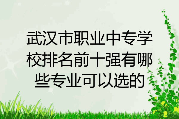 武汉市职业中专学校排名前十强有哪些专业可以选的