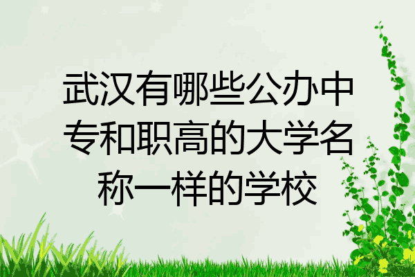 武汉有哪些公办中专和职高的大学名称一样的学校