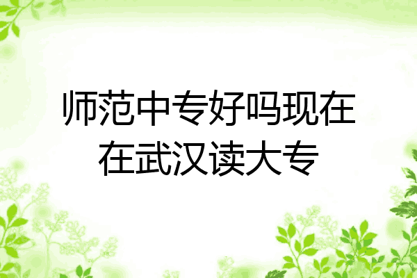 师范中专好吗现在在武汉读大专