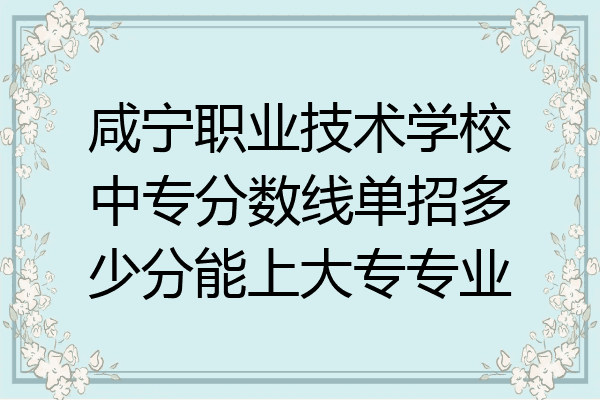 咸宁职业技术学校中专分数线单招多少分能上大专专业