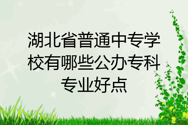湖北省普通中专学校有哪些公办专科专业好点