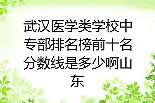 武汉医学类学校中专部排名榜前十名分数线是多少啊山东