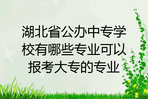 湖北省公办中专学校有哪些专业可以报考大专的专业