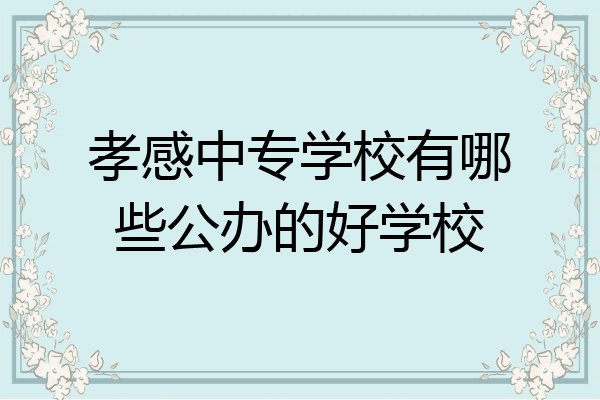 孝感中专学校有哪些公办的好学校