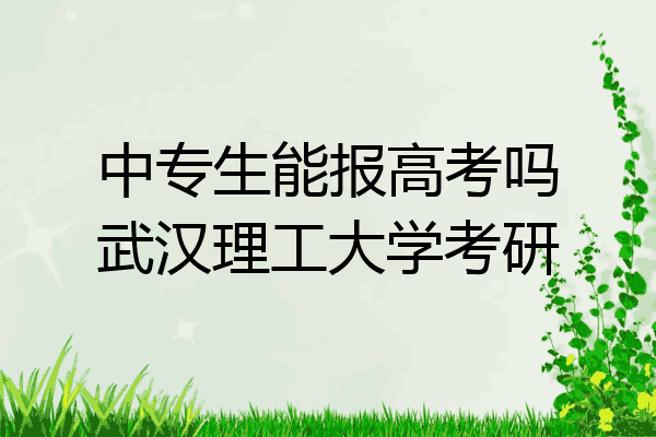 中专生能报高考吗武汉理工大学考研