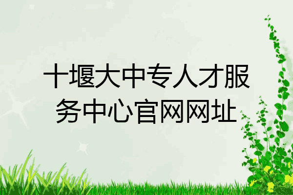 十堰大中专人才服务中心官网网址