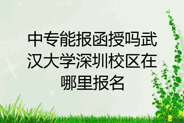 中专能报函授吗武汉大学深圳校区在哪里报名