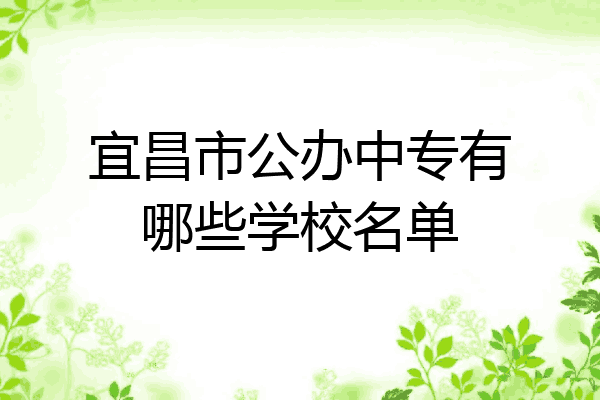 宜昌市公办中专有哪些学校名单