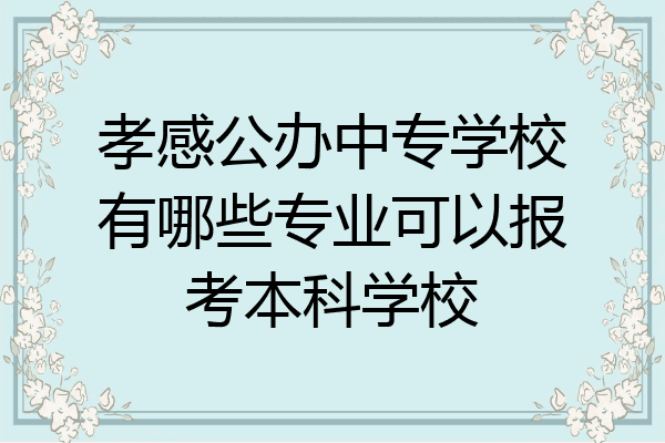孝感公办中专学校有哪些专业可以报考本科学校