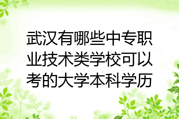 武汉有哪些中专职业技术类学校可以考的大学本科学历