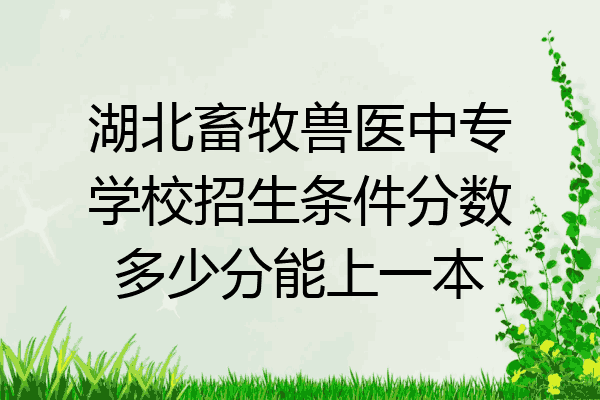 湖北畜牧兽医中专学校招生条件分数多少分能上一本