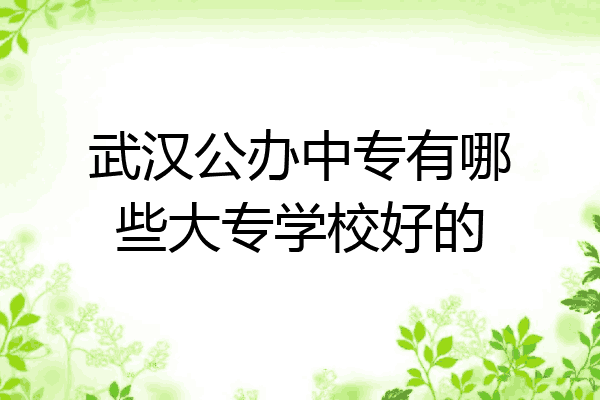 武汉公办中专有哪些大专学校好的