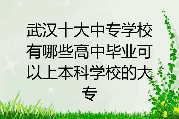 武汉十大中专学校有哪些高中毕业可以上本科学校的大专