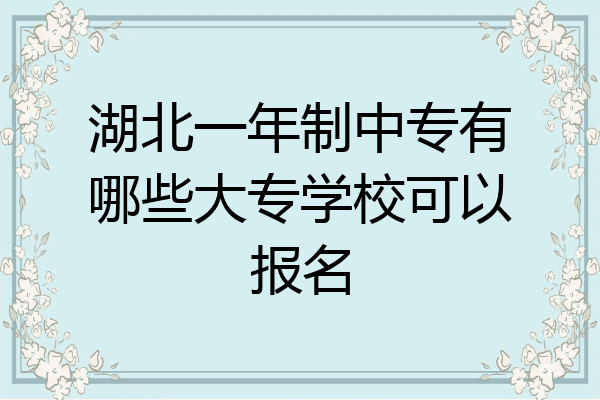 湖北一年制中专有哪些大专学校可以报名