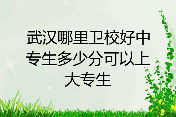 武汉哪里卫校好中专生多少分可以上大专生