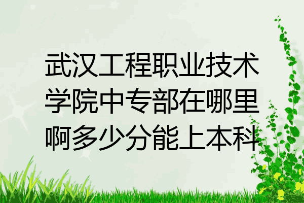 武汉工程职业技术学院中专部在哪里啊多少分能上本科