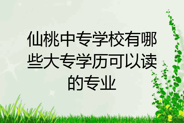 仙桃中专学校有哪些大专学历可以读的专业
