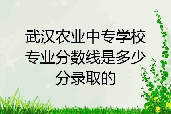 武汉农业中专学校专业分数线是多少分录取的