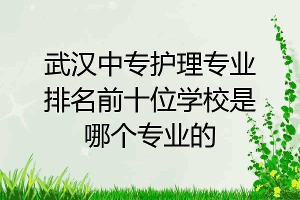 武汉中专护理专业排名前十位学校是哪个专业的